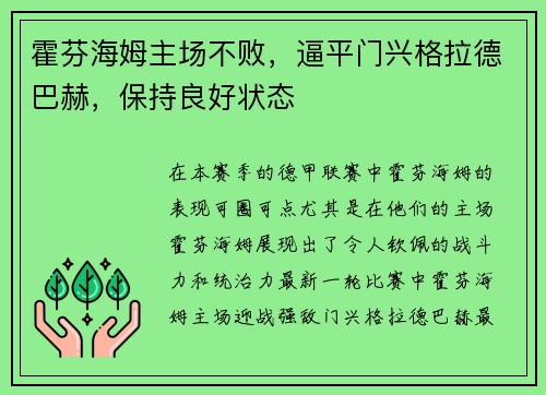 霍芬海姆主场不败，逼平门兴格拉德巴赫，保持良好状态